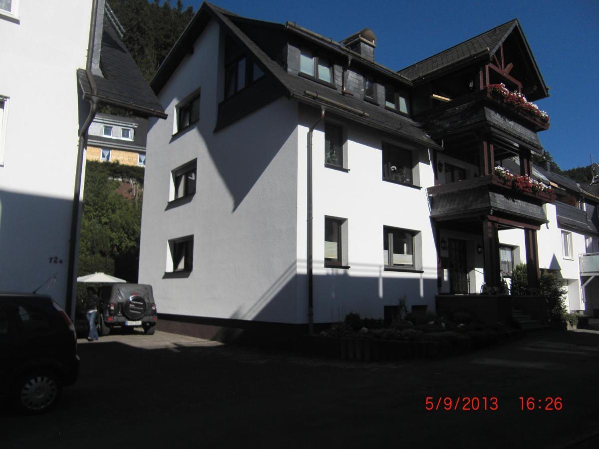 Ferienwohnung Ortsmitte-Willingen Willingen  Exterior foto